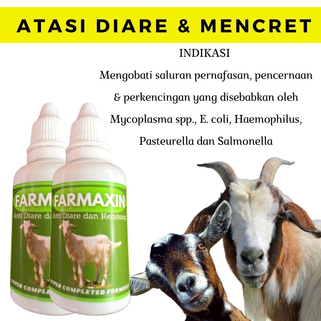 Obat Kembung Mencret Kambing Domba FEZONE