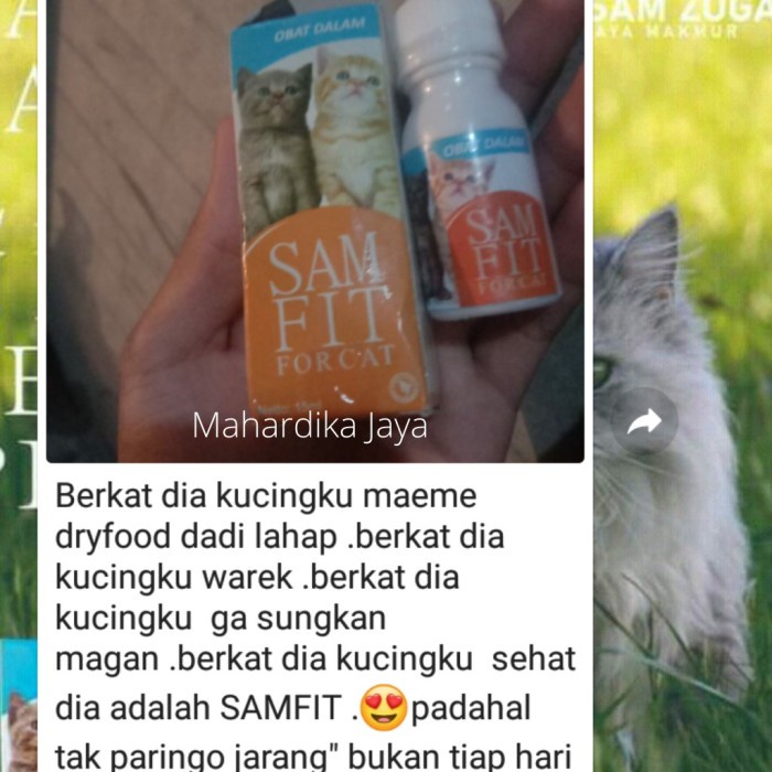 TERLARIS- Obat Kucing Mencret Muntah Kucing SAMFIT Kucing Flu Obat Obat Obat Kuc (NEW)