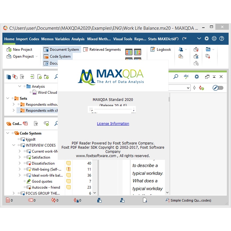 MAXQDA Analytics Pro 2022 Full Lisensi Lifetime Software Analisis statistik MAXQDA Pro 2020