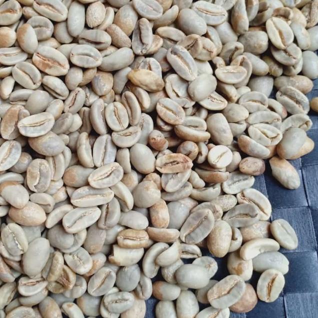 

➲ Green Bean Arabica Gayo Natural G1 ♠