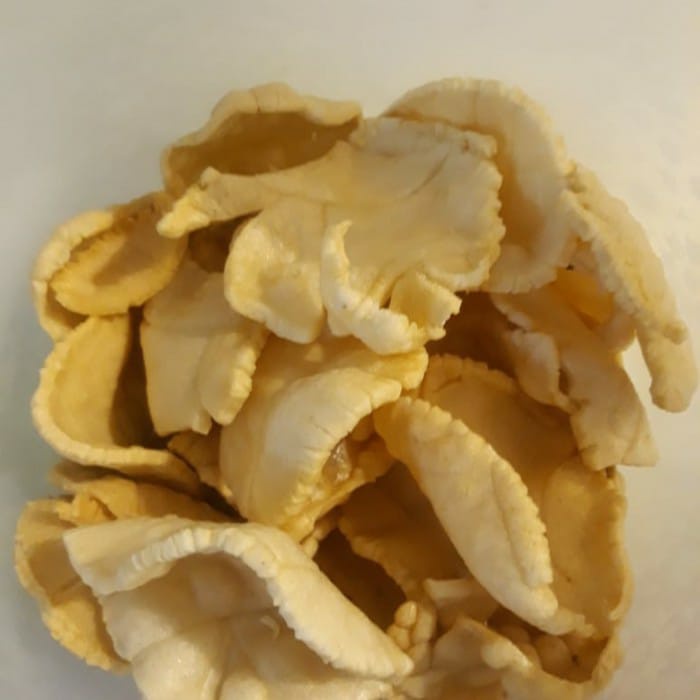 

KERUPUK PULI MENTAH