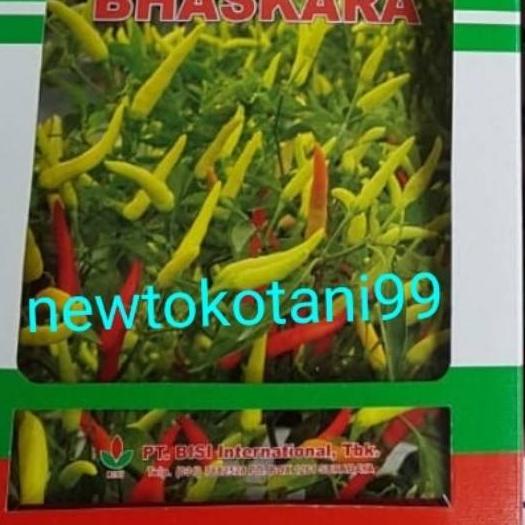 ♢ Benih cabe rawit putih hibrida BHASKARA F1 10 gram cabai baskara f1 10gr dari bisi chia tai ♪