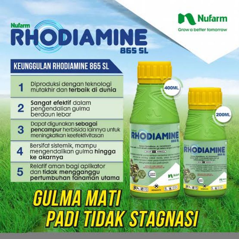 RHODIAMINE 865 SL 200 ML