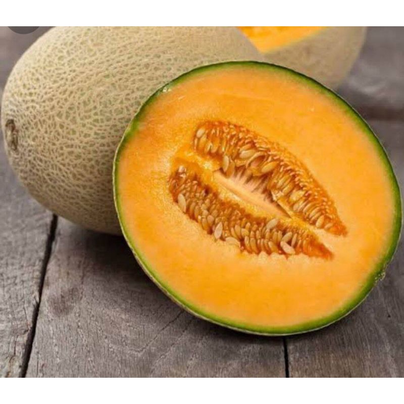 

BUAH MELON OREN ROCK ORANGE MANIS SEGAR