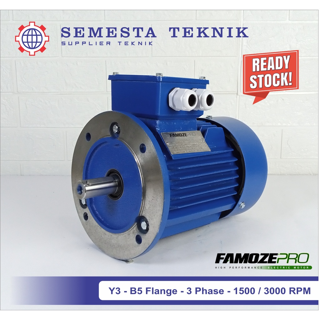 Famoze Pro Y3 Dinamo 3 Phase 15 HP 3000 RPM 2 POLE Electric Motor 15 PK 11 KW B5 Flange Mounted - 15