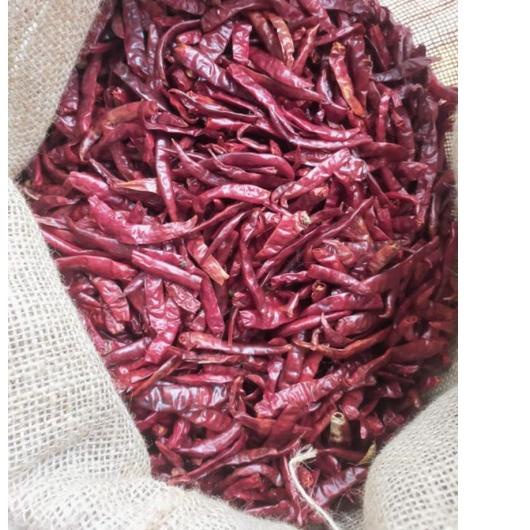 

← Cabe TEJA Merah Kering 1kilogram Dijamin Pedas Dan Fresh ➷