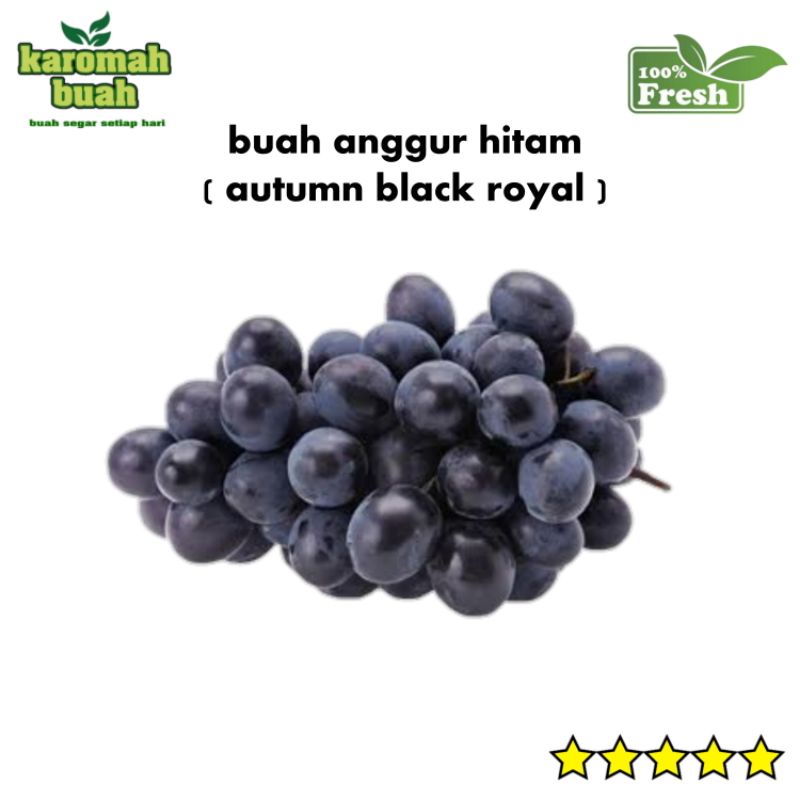 

buah anggur hitam autumn tanpa biji 500gram manis & padat buahnya