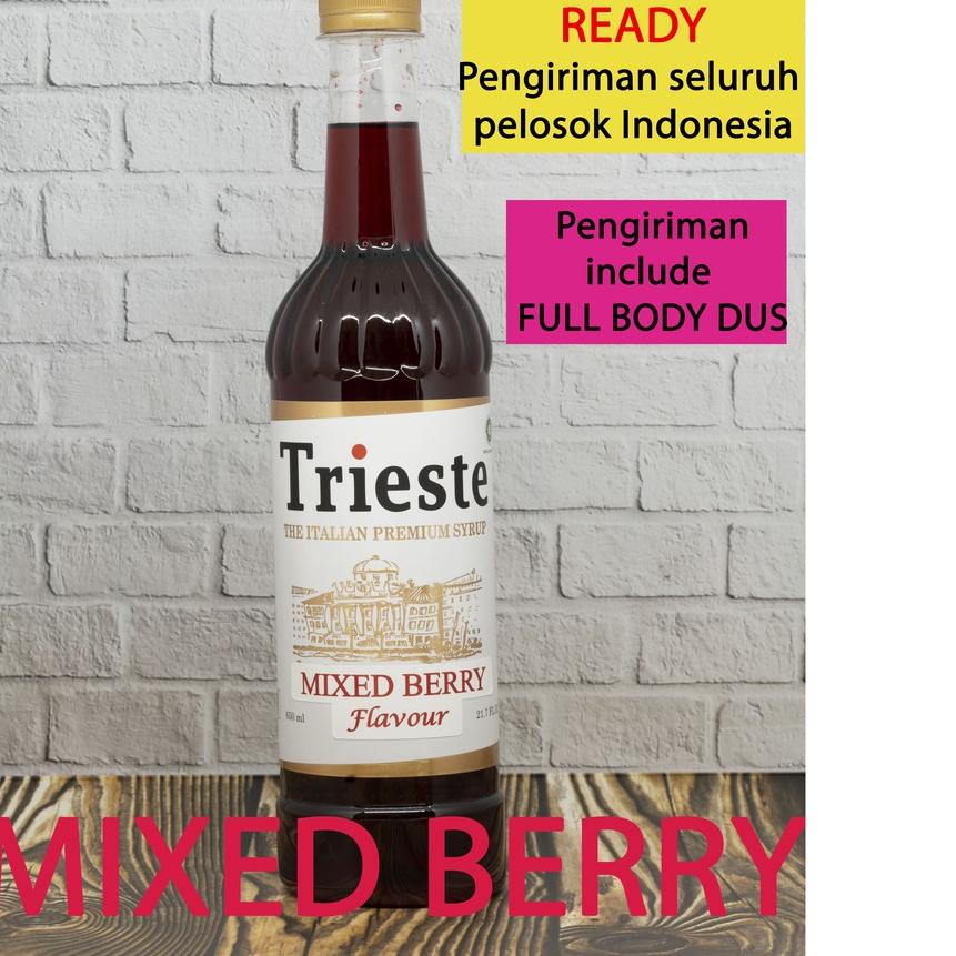 

✈ TRIESTE SYRUP MIXED BERRY ™