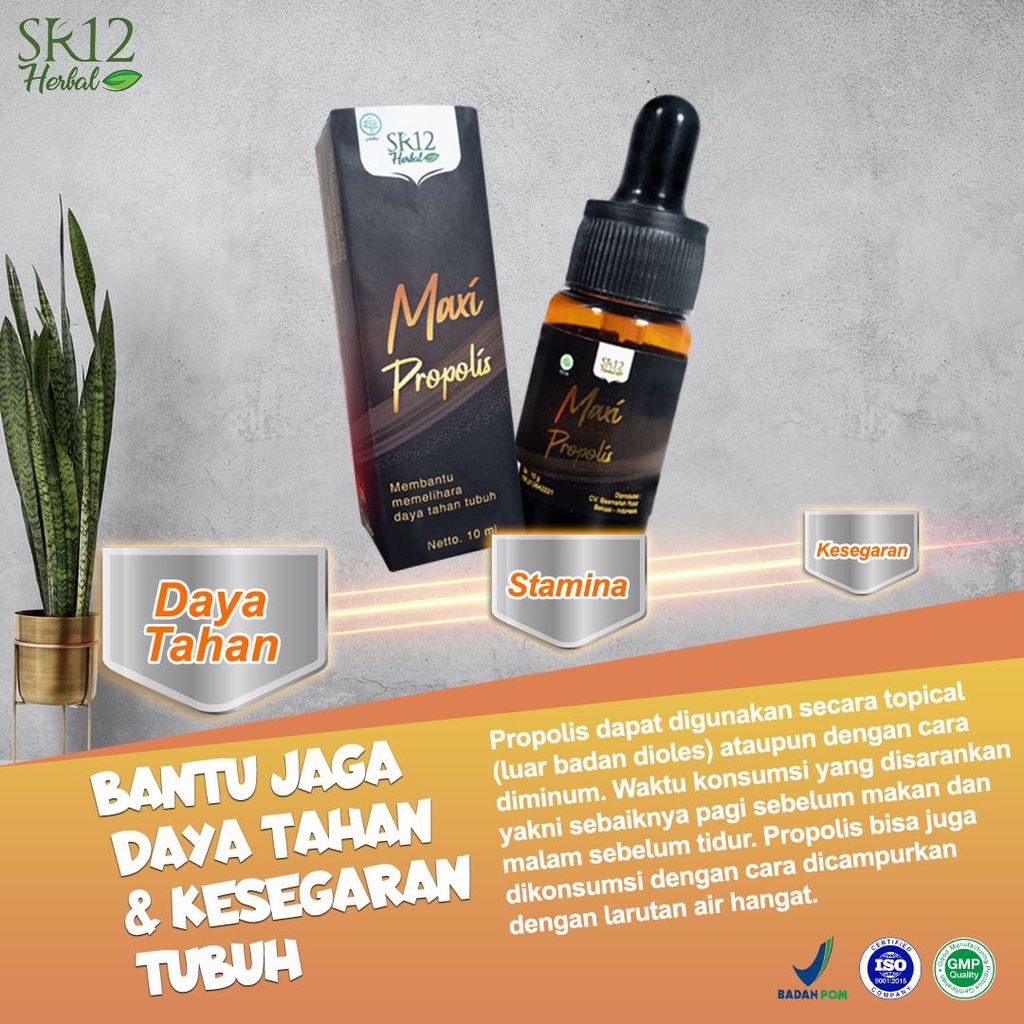 MAXI PROPOLIS SR12 / PROPOLIS ASLI / MENJAGA DAYA TAHAN TUBUH / MENURUNKAN GLUKOSA DARAH / SEBAGAI ANTI BAKTERI