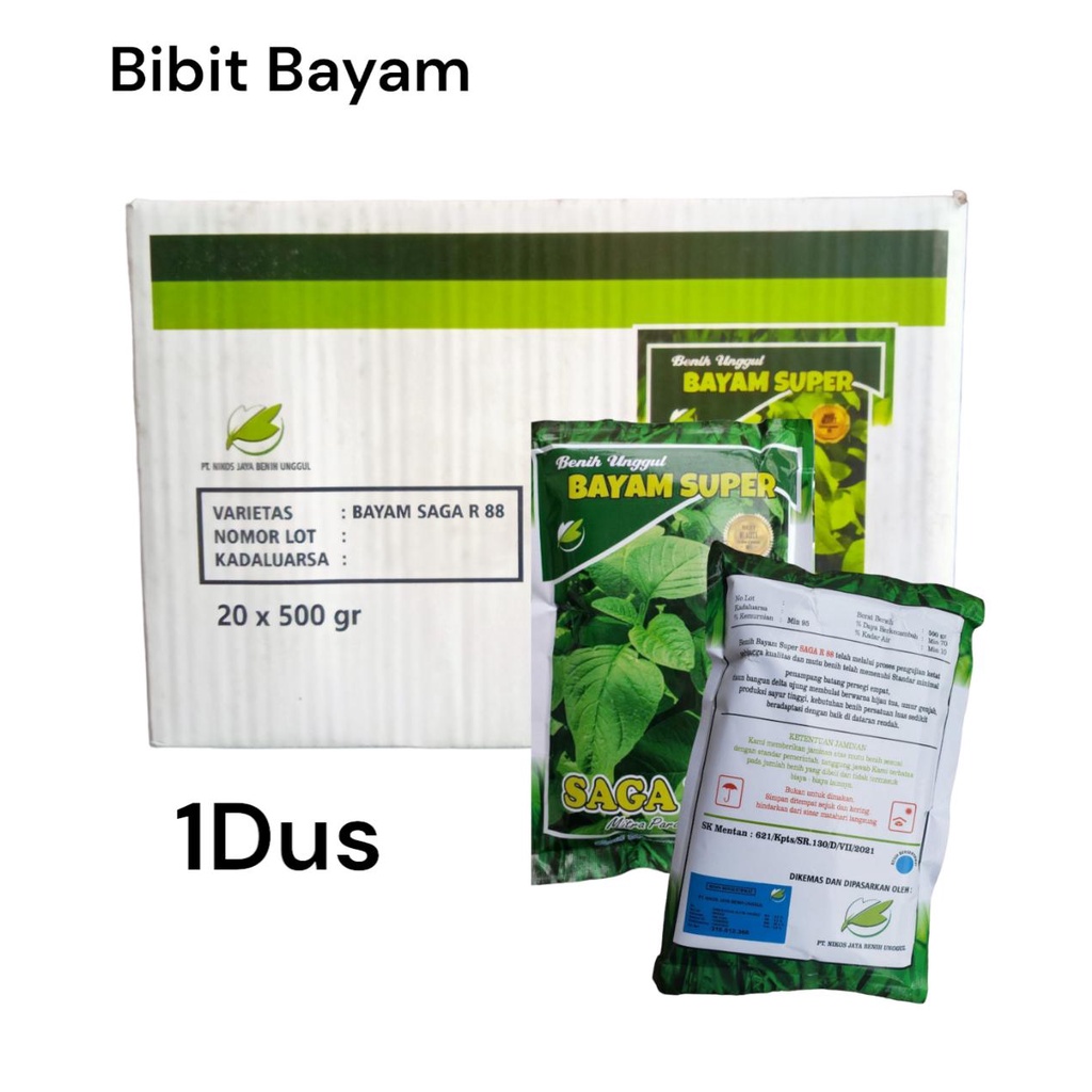 1 DUS Benih Bayam Super SAGA R 88 Bibit Sayuran Unggul Bayam Benua