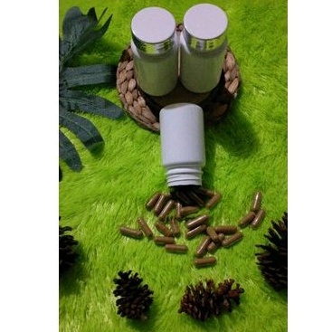 EMPOT AYAM SUPER PREMIUM (Kapsul) MPOT AYAM MADURA