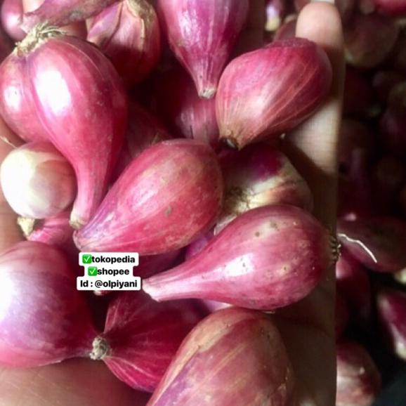 

New Arrival Bawang merah sedang 1kg