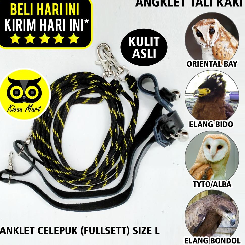 TERBAIK ANKLET ANGKLET CELEPUK LARGE TALI KAKI BURUNG TYTO ALBA PARROT ELANG BLACK KITE KIT BK BONDO