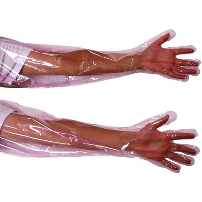 Sarung Tangan Plastik Ib Glove Per Box Isi 100Pcs