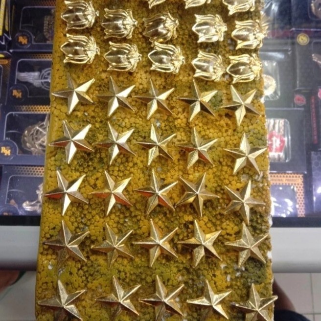Pin Jas Pin Bintang Dan Melati - Pin Melati Dan Bintang Pangkat Kerah Dan Topi