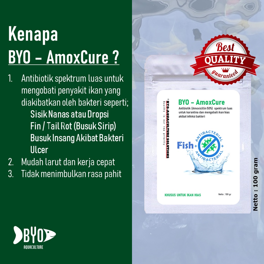 Anti-Bakteri Ikan Koi - Obat Karantina Ikan Koi - BYO Amoxcure 100 gr