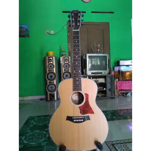 Taylor GS mini premium