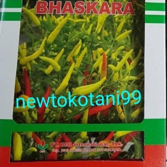 ☂ Benih cabe rawit putih hibrida BHASKARA F1 10 gram cabai baskara f1 10gr dari bisi chia tai ✩