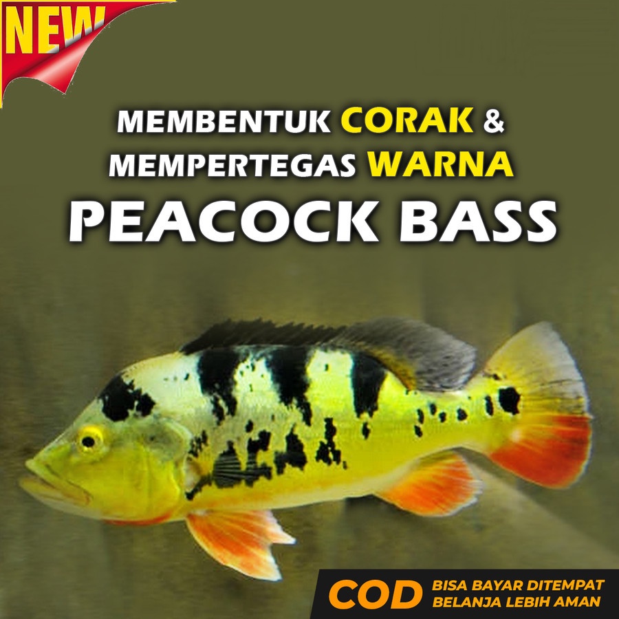 Pakan Ikan Pbass Peacock Bass PHOENIX BASS Pelet Makanan Pbass Mono 60gr