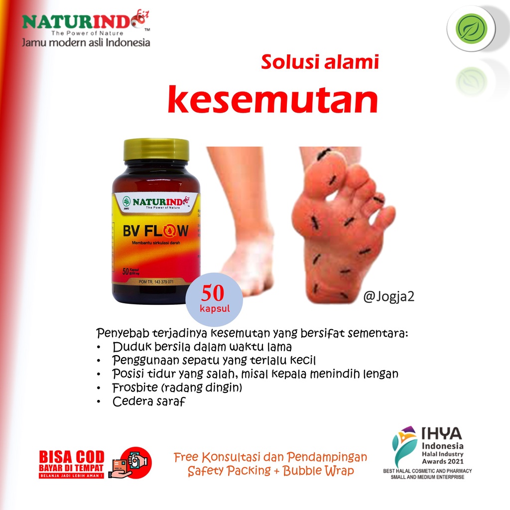 Obat BV Flow Herbal Kesemutan Kebas Peredaran Darah Lancar BV Flow Naturindo