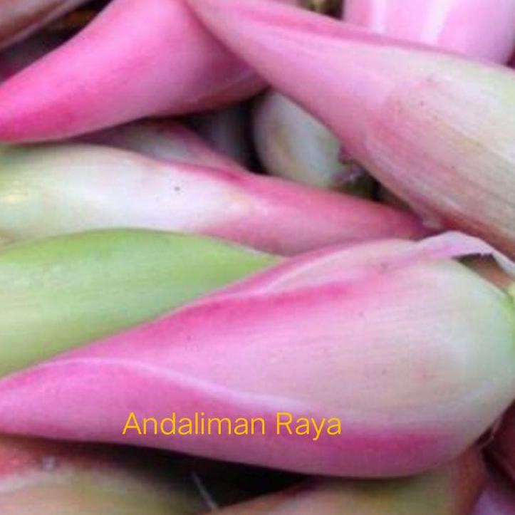 

Hot Sale kecombrang/kincung 250 gram