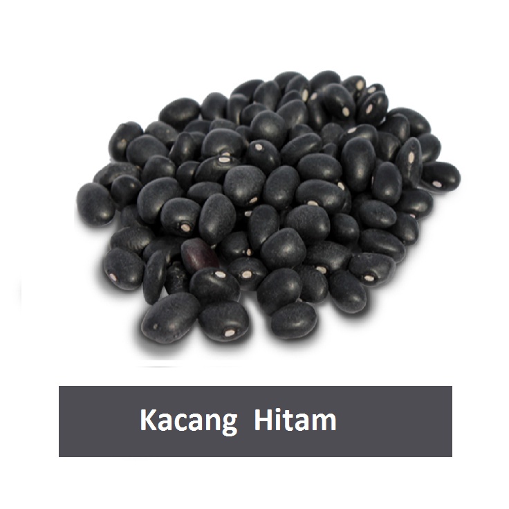 

Kacang Hitam Black Beans Import Premium