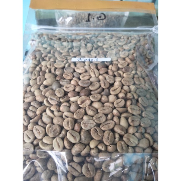 

biji kopi robusta bengkulu