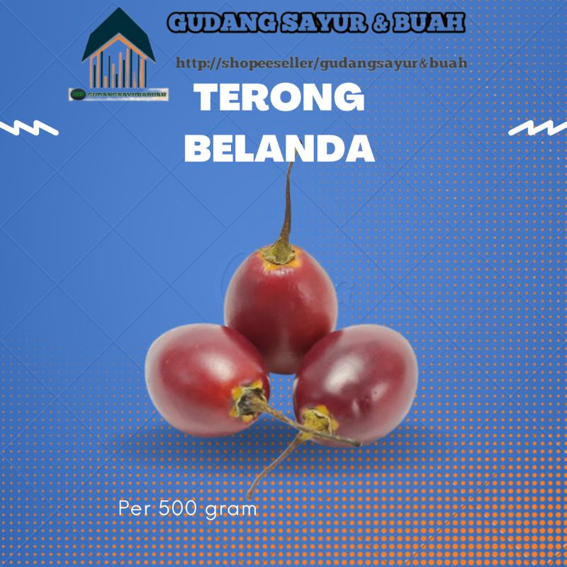 

TERONG BELANDA 500 GR