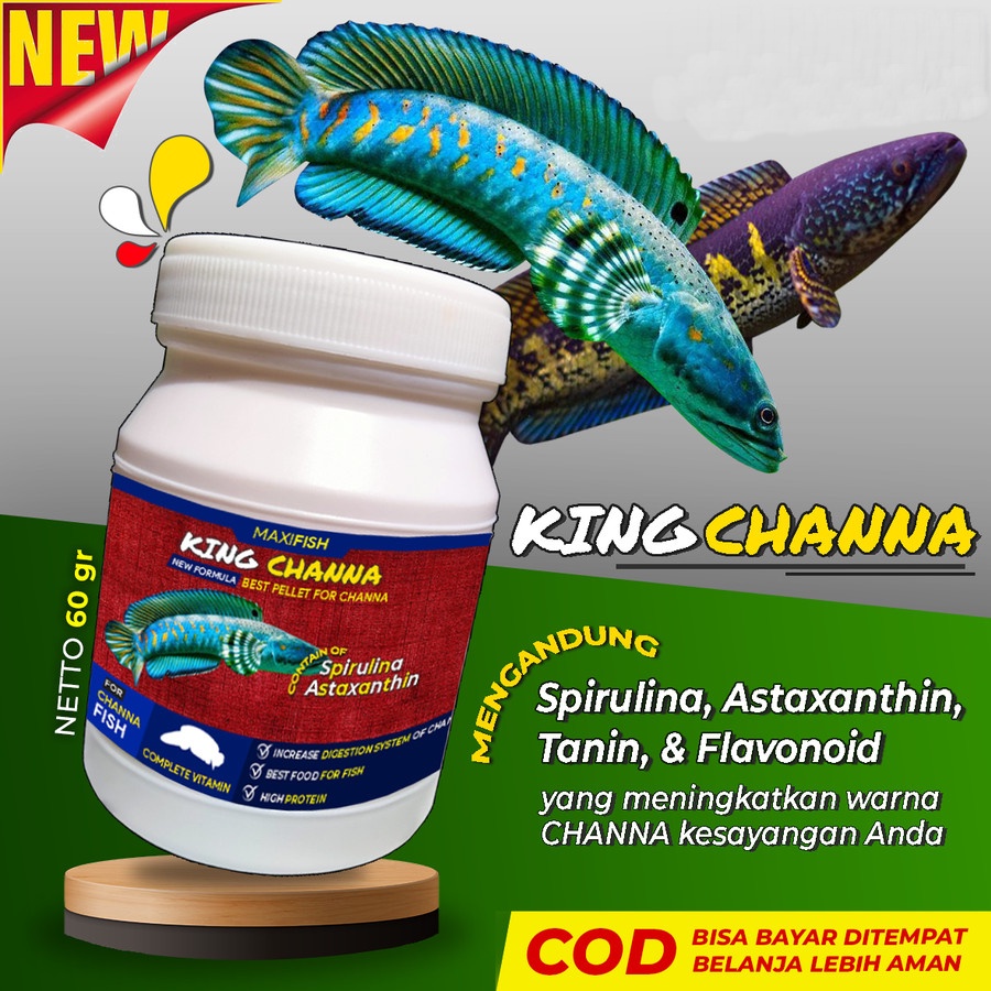 Pelet Pakan Channa KINGCHANNA Ikan Channa Maru Auranti Blue Pulchra 60gr