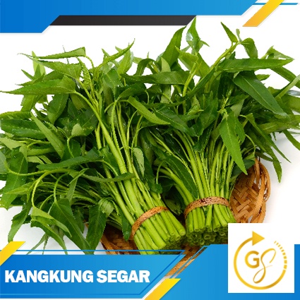 

KANGKUNG SEGAR 3 IKAT CUMA 3500