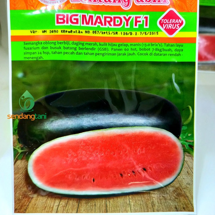 Semangka BIG MARDY F1 Benih Semangka Inul Lonjong Merah Bintang Asia