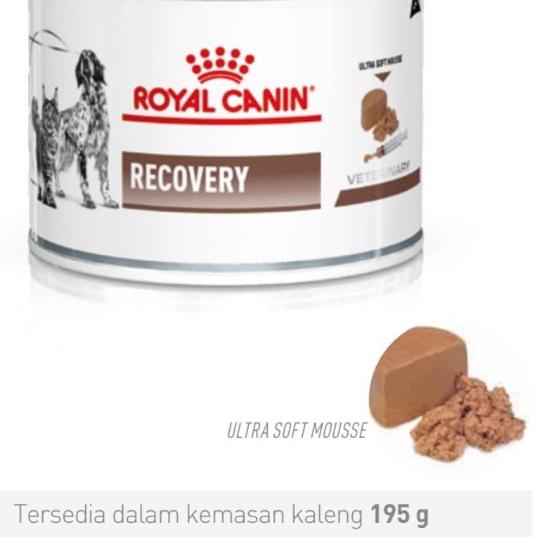 

✿ Royal Canin Recovery Kaleng 195gr ●
