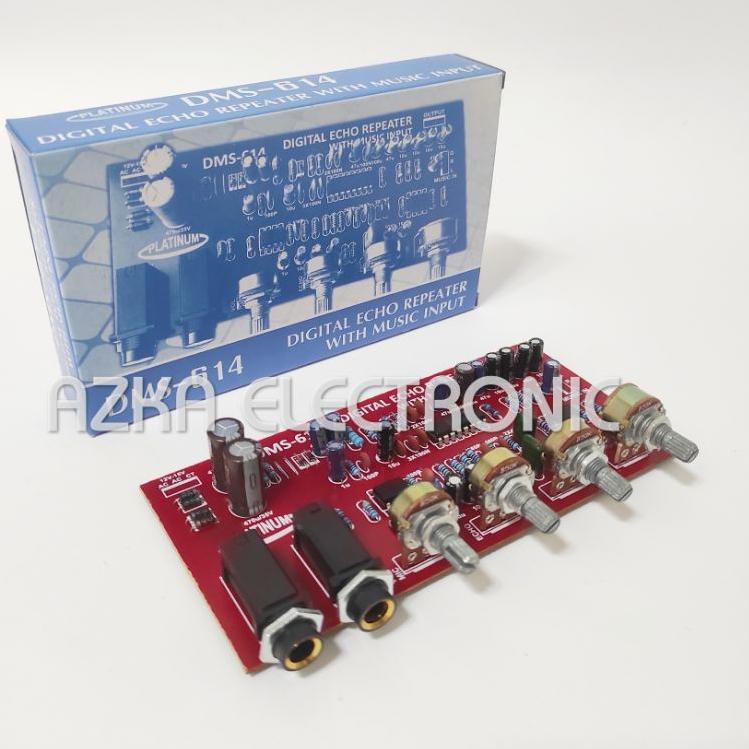 ✶ Kit Digital Echo Repeater Plus Music Input DMS 614 ➦