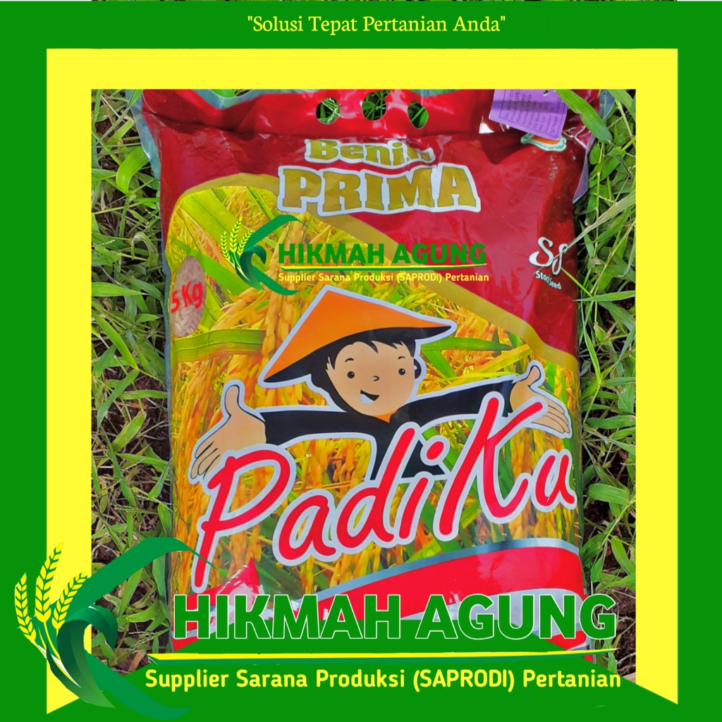 Benih Padi Ciherang Prima 5kg
