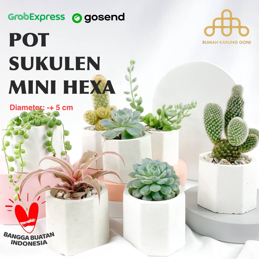 Pot Kaktus Pot Mini Sukulen Hexagon 5x5cm Concrete Pot Mini Planter Pot Beton Bonsai Bandung