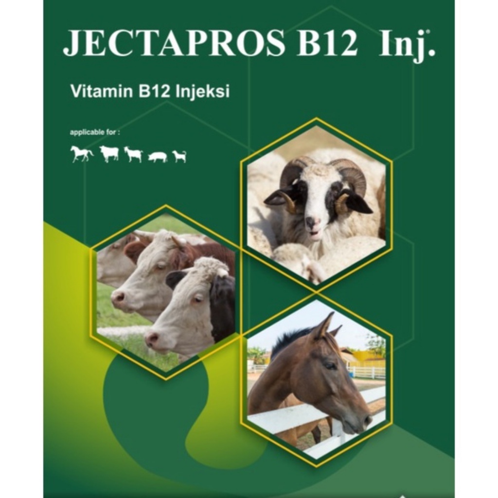 JECTAPROS B12 INJ | Vitamin B12 Hewan Ternak Sapi Kuda Kambing Babi Anjing | Seperti Jectavit B12 Sanbe | 100 mL | VADCO | Apoternak