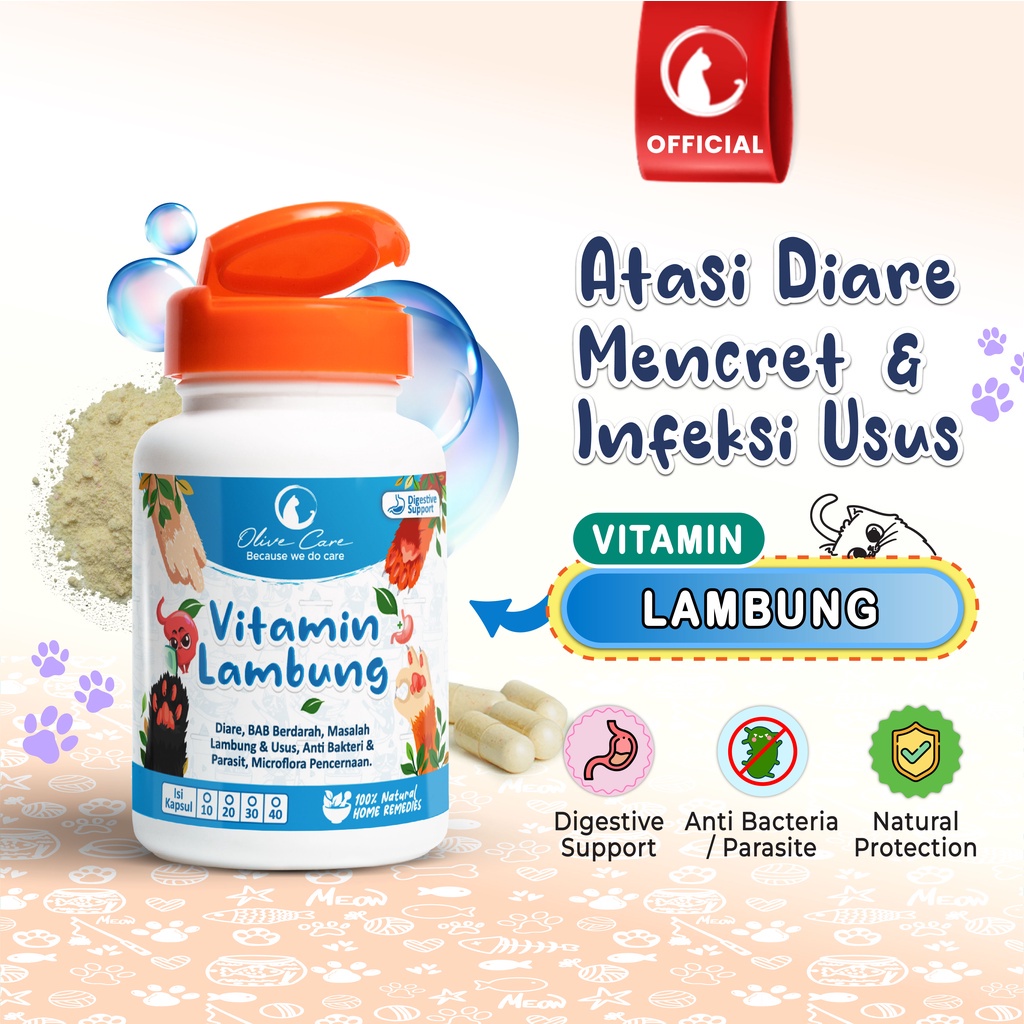 OLIVE CARE Vitamin Kucing LAMBUNG - MASALAH PENCERNAAN untuk Diare, Mencret, Pup Berdarah dan Radang Usus