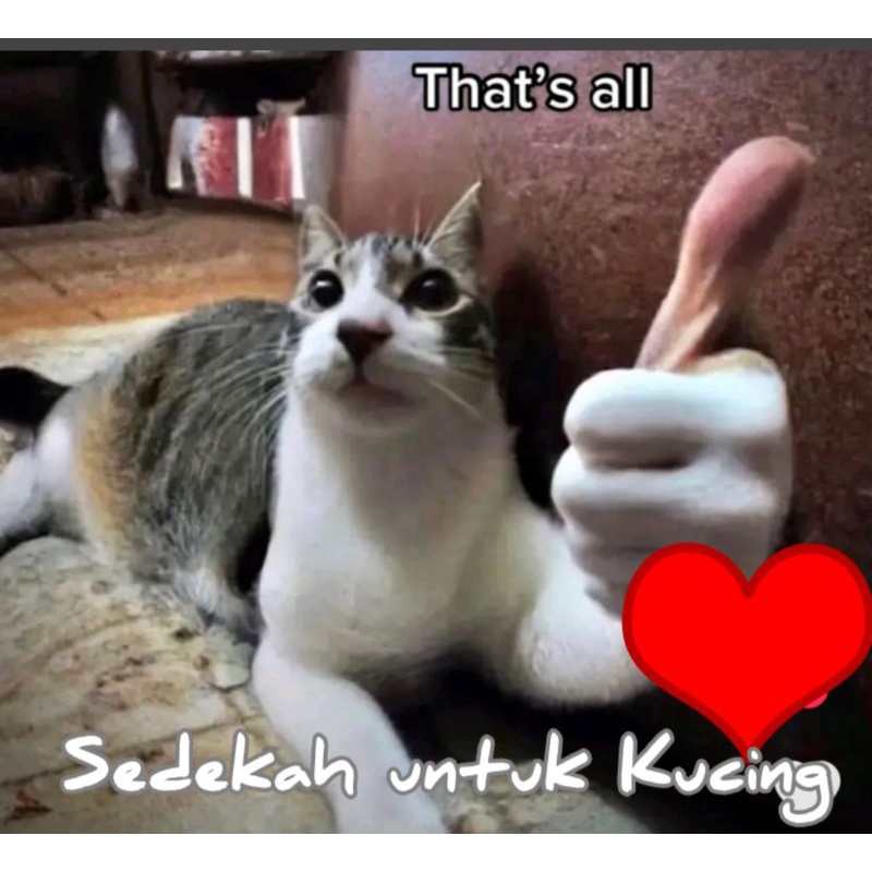 

Sedekahmakanankucing,