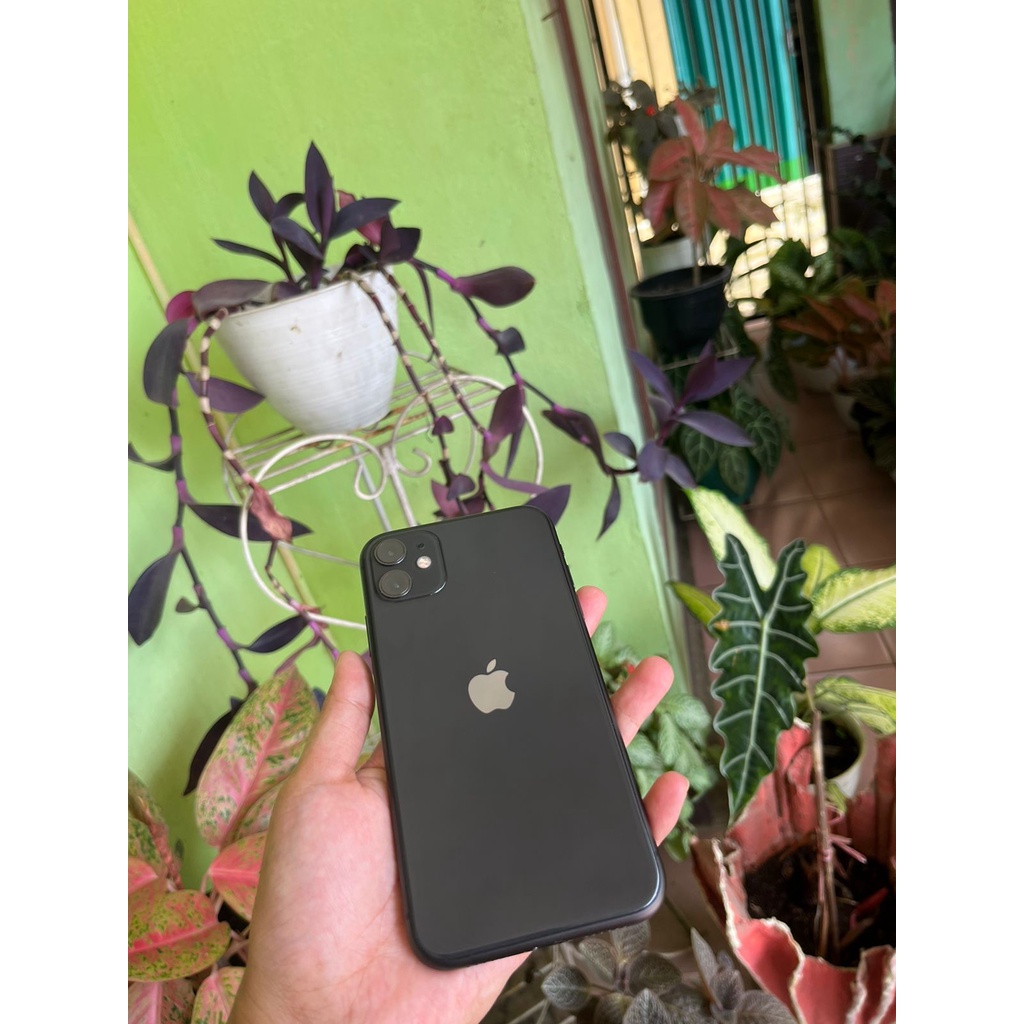 iphone 11 64 ibox