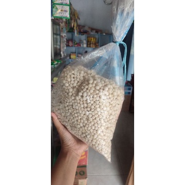

pilus tegal