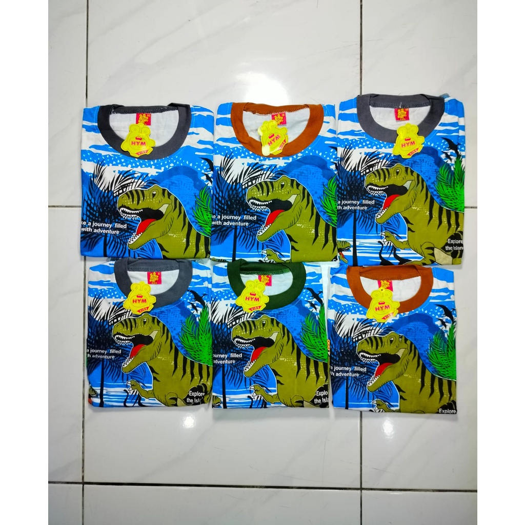 Setelan Baju Anak Cowok Celana Panjang HYM by Hayami CP Dino T-Rex