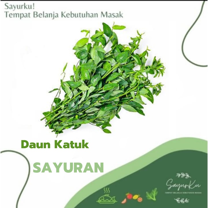 

daun katuk fresh per ikat