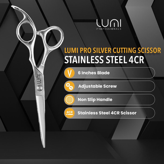 Lumi Pro Silver 6inchi