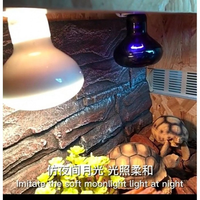 Terlaris Uva Uvb Lampu Uva Malam