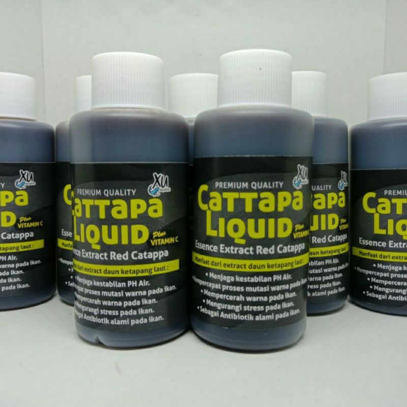 Ekstrak daun ketapang laut 100ml praktis!!