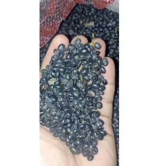 

Dealsa1A9m 500 gram Black SOYBEAN Kacang kedelai Hitam