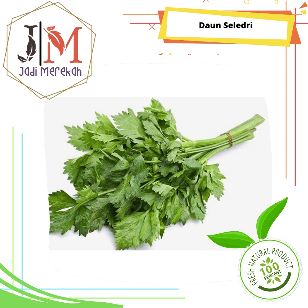 

[JM SoFresh] - Daun Seledri