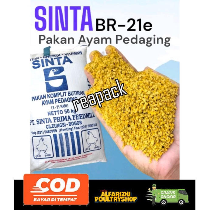 pakan ayam sinta B2 fur ayam sinta makanan ayam 2023