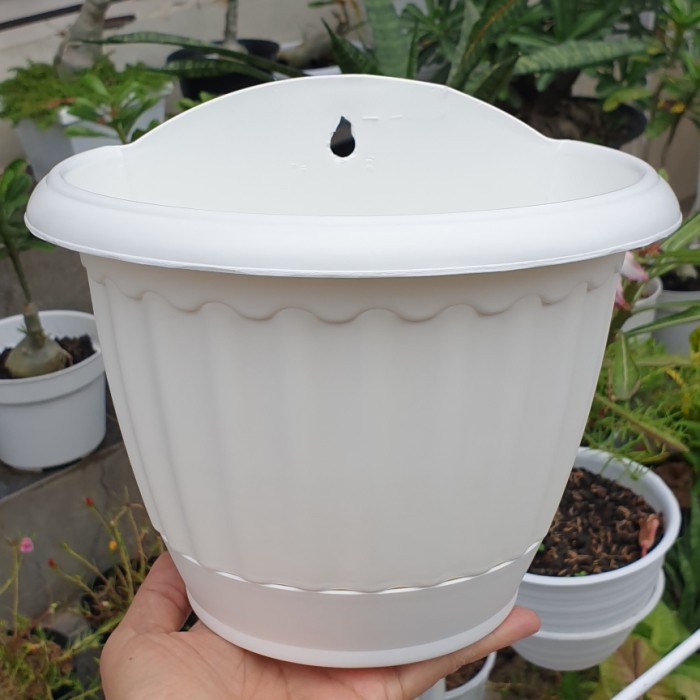 DINDING TEMPEL SA TP20 Pot dinding putih ada tatakan