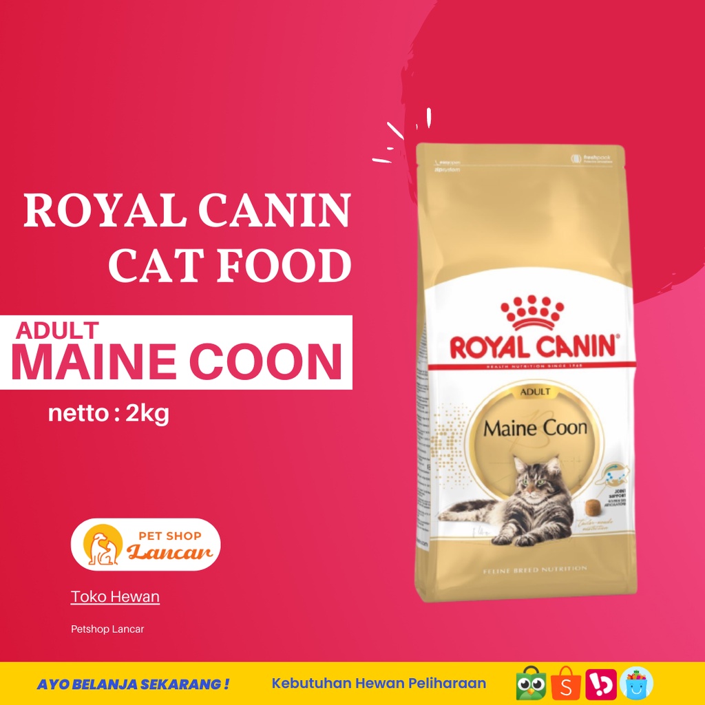 ROYAL CANIN ADULT MAINE COON 2 KG FRESH PACK